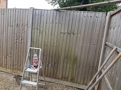 New fence