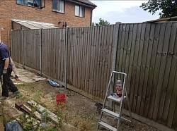 Finished fence