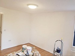 All Painting and decorating